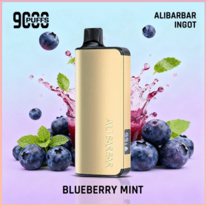 Alibarbar Ingot Blueberry Mint 9000 Puffs