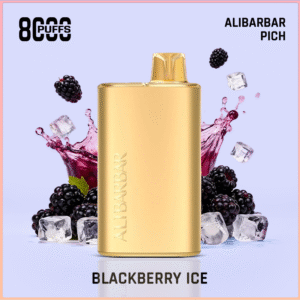 Alibarbar Rich Blueberry Ice 8000 Puffs